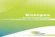 Annual Pricing Proposal 2016-17 - Energex...This document is Energex’s Annual Pricing Proposal for 2016-17. It has been prepared for the second year of Energex’s 2015-20 regulatory