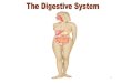 The Digestive System - BIOLOGY FOR LIFE · H.2.4 Control of Gland Secretions The activities of the digestive system are regulated by both hormones and neural reflexes. HORMONES •