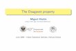 The Daugavet propertymmartins/Curriculum/Charlas/2009-Kolkata.pdf · property. (Werner, 1997) 4 “Large” subspaces of C[0,1] and L1[0,1] have the Daugavet property (in particular,