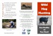 Bsuis HunterBrochure FinalSep25 · Wild hogs are the descendants of Eurasian wild boar and released or escaped domestic hogs. Today, more than 4 million wild hogs are found in at