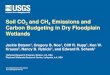 Soil CO2 and CH4 Emissions and Carbon Budgeting in Dry ... · Treatise of Geomorphology. Modified from NRC 2002. Four dimensions of river corridors influence floodplain ecosystem
