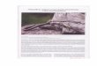 Document1 - Roger Meek Herpetology fragilis...Nollamallit ja vaskitsan (Anguis fragilis) lämpöbiologia — todiste lämmönsäätelystä ROGER by & originally in AmphibiAeptilia