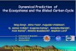 ENSO, Drought and the Changing Carbon Cycle · Dynamical Prediction of the Ecosystems and the Global Carbon Cycle Ning Zeng 1, Jinho Yoon , Augustin Vintzileos2, G. James Collatz3,