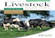 VOLUME 3 EDITION 2 Livestock - XLVets Ireland · problems. Good management and recording along with suitable veterinary intervention when needed can help maximise conception rates