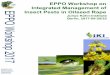 EPPO Workshop on Integrated Management of Insect Pests in ... · Host plant resistance (breeding) Chair: Vlasta Zlof. 11.00. Breeding for insect resistance in oilseed rape: is it