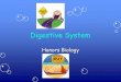 Digestive Systemphsgirard.org/Biology/HumanBody/DigestiveSystem.pdf · 2009-05-03 · Digestive System Honors Biology. Digestive Processes. Digestive Organs. Mesentary. Peritonitis