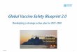 Global Vaccine Safety Blueprint 2 - DCVMN · Key Insight: Post-2020 Strategic Objectives Participants recommended revisiting some of the current strategic objectives of the Blueprint,