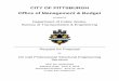 CITY OF PITTSBURGH Office of Management & Budget · 2016-06-08 · CITY OF PITTSBURGH . Office of Management & Budget . on behalf of . Department of Public Works, Bureau of Transportation