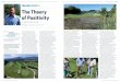 Golf Club Wylihof TALKING POINTS The Theory of Positivity · gaining better golfer understanding and managing the demand. It is easy to become demotivated, to think the golfer is