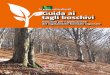 Le guide selvicolturali Guida ai tagli boschivi · 2019-03-19 · to tra la Regione e i diversi attori del comparto forestale piemontese. Con questa guida il Settore Foreste intende