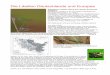 Die Libellen Deutschlands und Europas€¦ · 143 European species of dragonflies and damselflies. Gives a complete description of their global and European distribution, illustrated