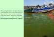 The eutrophication of Lake VictoriaThe eutrophication of Lake Victoria: Consequences on the functioning of the lakes and on its use for the production of drinking water, monitoring