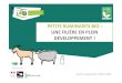 PETITS RUMINANTS BIO : UNE FILIÈRE EN PLEIN DÉVELOPPEMENT · 2018-09-24 · Ruminants Bio Nb producteurs Bio Evol 2016/ 2017 producteurs Bio + conversion cheptel Bio + conversion