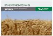 GRDC GRAINS INDUSTRY EDUCATION RESOURCES Contents GRDC Vision..... 2 GRDC Mission ... from green to