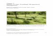 Chapter 9 Models of Oak Woodland Silvopastoral Managementnature.berkeley.edu/~standifo/wp-content/uploads/2015/01/Chapter-… · approach—of a managed, or facilitated, natural regeneration
