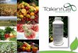 Es una formulación nutricional, que incorpora unaP. S. 2013). Talentus, tecnol… · • Objetivo: Evaluar la calidad y el rendimiento de tomate Producto Dosis (L/Ha) Etapa de aplicación