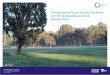 Templestowe Road Soccer Facilities (27-59 Templestowe Road ...€¦ · United key walking and cycling routes, ‘knitting’ together key places within the study area and beyond,