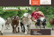 ANIMAL GIFTS - Heifer International · that a simple gift of chickens can impact families living in poverty. Chickens are easy to raise, and they require very little space. A single