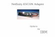 Netfinity ESCON Adapterps-2.kev009.com/pccbbs/communications/esconpre.pdfUp to Two 200Mbps Connections SNA/Server Consolidation Efficient Client/Server Application Deployment (ERP,