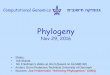 Gene Expression and DNA Chipsrshamir/algmb/presentations/Phylogeny16.pdfNov 29, 2016 Computational Genomics . תיבושיח הקימונג ... 1B •Right species topology: (1,(2,3))