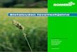 Biotalouden tavoiteohjelma - Somero · Vihreä talous pitää sisällään bio- ja luonnonvaratalouden sekä bioteknologian. Vihreä talous on talousjärjestelmä, jossa työtä ja