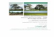 Arboricultural Assessment Precinct Structure Plan - 1059 · PDF file 2016-08-08 · Arboricultural Assessment Report – Beveridge PSP 1059. arboricultural report 13_5161 psp 1059-beveridge
