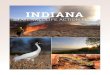 Indiana State Wildlife Action Plan - IN.gov · Indiana’s fish and wildlife play a vital role in the improved quality of life for all Hoosiers. The Indiana Department of Natural