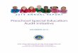 Preschool Special Education Audit Initiative · 2019-02-06 · Preschool Special Education Audit Initiative 3 A MESSAGE FROM THE COMPTROLLER Special education programs fulfill a great