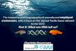 Charlotte Havermans · 2019-01-07 · Introduction –Results –Outlook A variety of deep-sea molecular studies mt DNA sequence analysis: • 16S rDNA (amphipods: France & Kocher