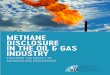 METHANE DISCLOSURE IN THE OIL & GAS INDUSTRY...Risk and Methane Reporting in the U.S. Oil & Gas Industry and Disclosing the Facts 2017: Transparency and Risk in Methane Emissions prepared