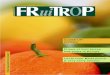 November 2008 - No. English version - FruiTrop...English version November 2008 - No. 161 CLOSE-UP: CITRUS Prices of fruit juices and pulps in Europe Litchi from Madagascar A very early