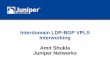 Interdomain LDP-BGP VPLS Interworking Amit Shukla Juniper ... · PDF file 6. Extending the reach of LDP-VPLS metro-domain to WAN via BGP-VPLS to enable region/nation-wide VPLS service