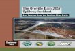 The Oroville Dam 2017 Spillway Incidentinfrastructure-info.com/New-Site/wp-content/uploads/2017/09/The... · the many citizens who have shown resilience to the Oroville incident of