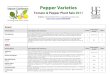 Pepper Varieties - UC Agriculture & Natural ResourcesUseful for salsa, picante sauce, and other Mexican dishes. Smooth green peppers are 8 – 9” long and 1” wide, ripening to