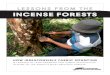 Fighting for People and Planet - INCENSE FORESTS · on these forests to help protect against the worst of climate change. Right now, over 300 million people live in forests, and over
