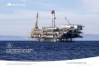 MATERIALS FOR OIL, GAS & CPI · 2019-09-27 · BÖHLER L022 Alloy 022 VIM + ESR 2.4602 N06022 – NiMo16Cr16Ti VdTÜV 479 (max. 360 mm/~14“) ASTM B564, B574 NACE MR0175 / ISO15156