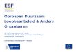 Oproepen Duurzaam Loopbaanbeleid & Anders Organiseren · 2017-10-25 · Oproepen Duurzaam Loopbaanbeleid & Anders Organiseren OP ESF Vlaanderen 2014 - 2020 Prioriteit uit OP: 4 –Partnerschapsontwikkeling