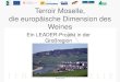 Terroir Moselle, die europäische Dimension des Weines · Terroir Moselle, die europäische Dimension des Weines Ein LEADER-Projekt in der Großregion 09.09.2015