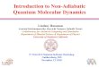 Introduction to Non-Adiabatic Quantum Molecular Dynamics 2018-11-13¢  Introduction to Non-Adiabatic