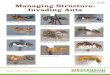 PB 1629 Managing Structure- Invading Ants · ants were reported as (1) odorous house ant, (2) imported fire ants, (3) pavement ant, (4) carpenter ants, (5) acrobat ants, (6) little
