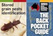 Gosford City Pest Control - Stored grain pests identification Major pest of whole cereal grains. Key