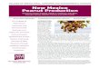 New Mexico Peanut Production - New Mexico State University · tion. In addition, land previ-ously in corn or grain sorghum may have herbicide residues (e.g., s-triazine types) that
