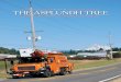Summer 2012 THE ASPLUNDH TREE€¦ · experience overseeing tree crews in Maryland. In 1960, he was promoted to manager of Asplundh operations throughout the state of Virginia and