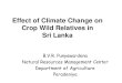 Impact of Climate Change on Crop Wild Relatives in Sri Lanka · 2014-05-28 · Effect of Climate Change on Crop Wild Relatives in Sri Lanka B.V.R. Punyawardena Natural Resources Management