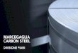 MARCEGAGLIA CARBON STEEL il gruppo marcegaglia. global player in steel marcegaglia £† un gruppo industriale