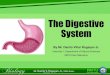 The Digestive System - AGHAMAZING GUROdanrogayan.weebly.com/uploads/8/2/7/4/82740308/9_the_digestive_… · Disease / Disorder Description Hiatal hernia Portion of stomach protrudes