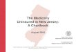 The Medically Uninsured in New Jersey: A Chartbook · 2006-06-13 · 3 The Medically Uninsured in New Jersey: A Chartbook Rutgers Center f or State Health Policy Background The aim
