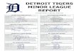 DETROIT TIGERS MINOR LEAGUE REPORT - MLB.com · fourth inning, off Akron starter Matt Esparza. Harold Castro also contributed with a RBI-single, which ended up being the deciding