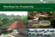 Planting for Prosperity - Gatsby · Susan Parrott of Green Ink conducted the field research and literature review, wrote the text, supplied most of the photographs and, together with