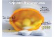 Opioid Awareness - Gannett · 2019-08-31 · works with opioid-dependent youth at Nationwide Children’s Hospital in Columbus, Ohio. “Just having that con-versation in and of itself